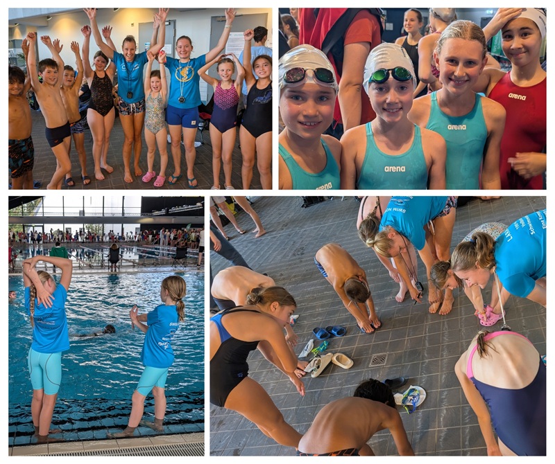 Schwimmen_ZWIEBEL1